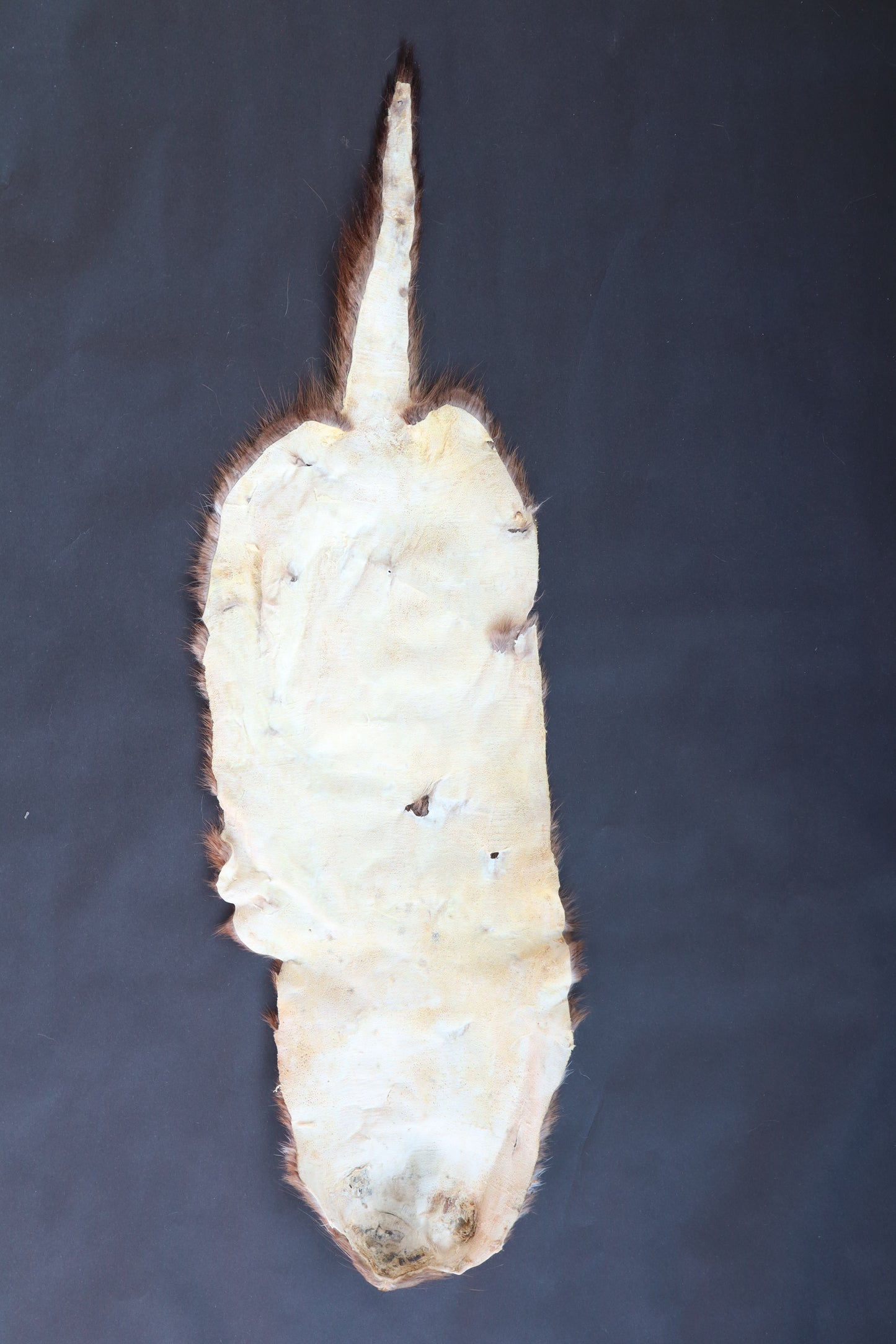 Soft Tanned Mink Pelt