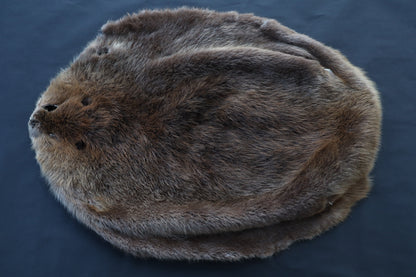Soft Tanned Beaver Pelt