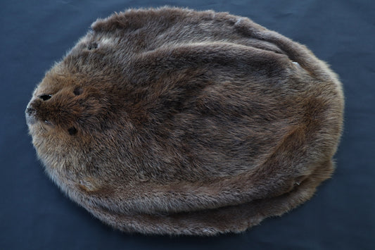 Soft Tanned Beaver Pelt