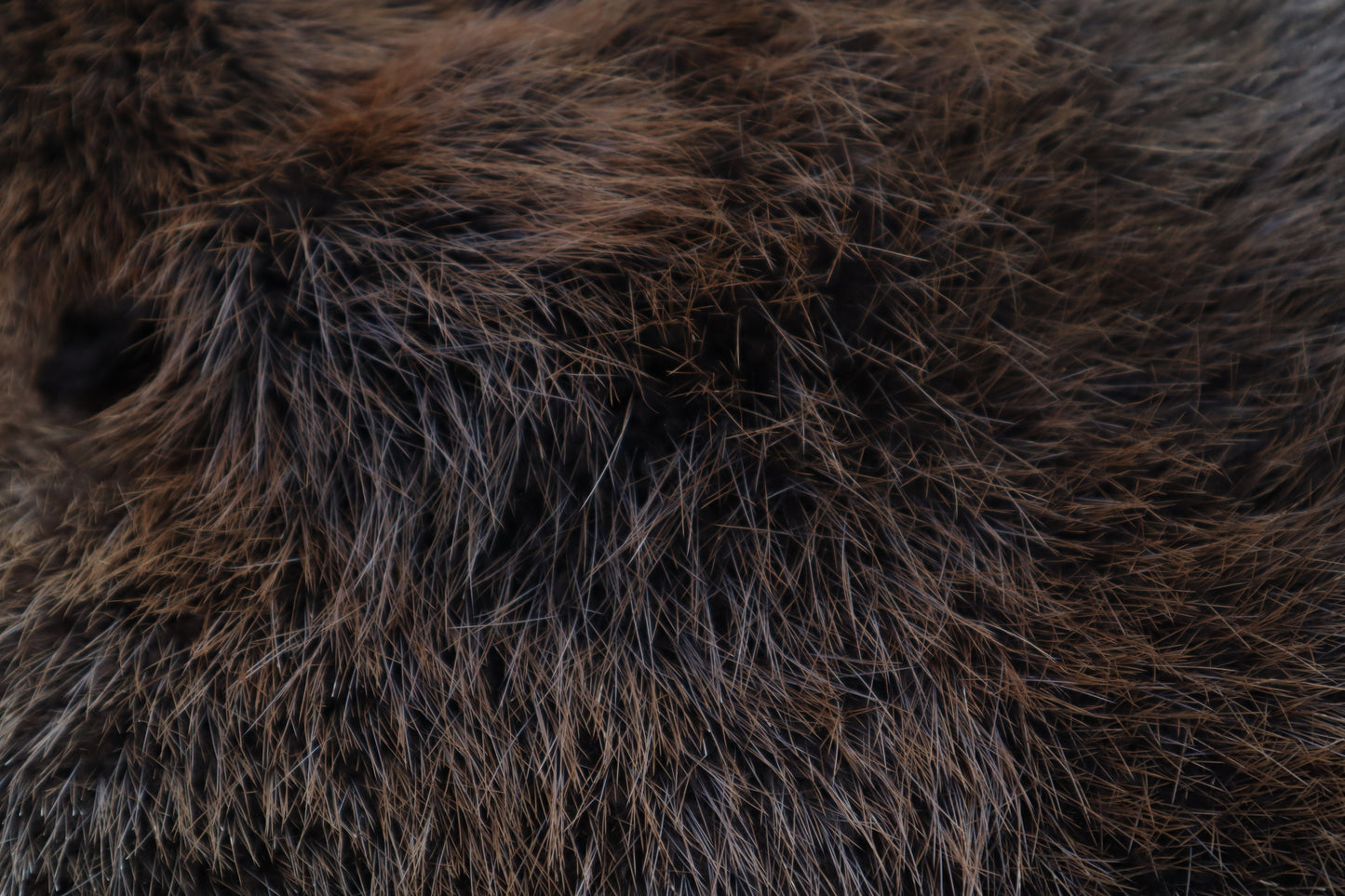 Soft Tanned Beaver Pelt