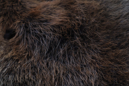 Soft Tanned Beaver Pelt
