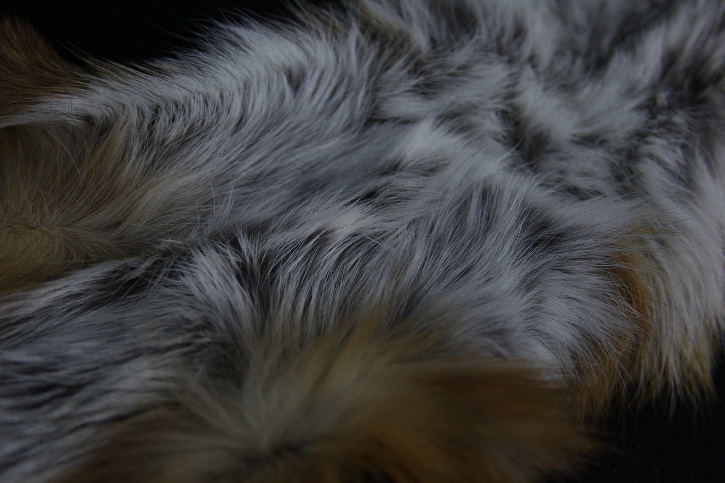 Lifesize Red Fox Wall Hanger