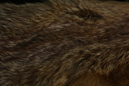 Lifesize Red Fox Wall Hanger