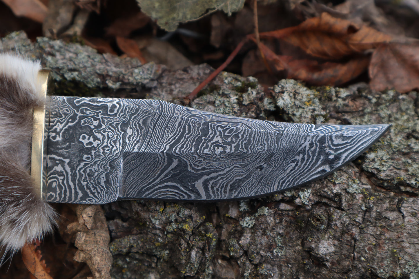 Damascus Bobcat Paw Knife