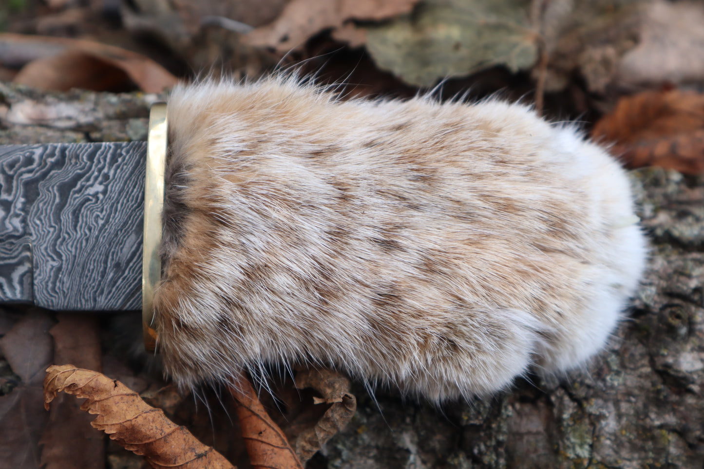 Damascus Bobcat Paw Knife