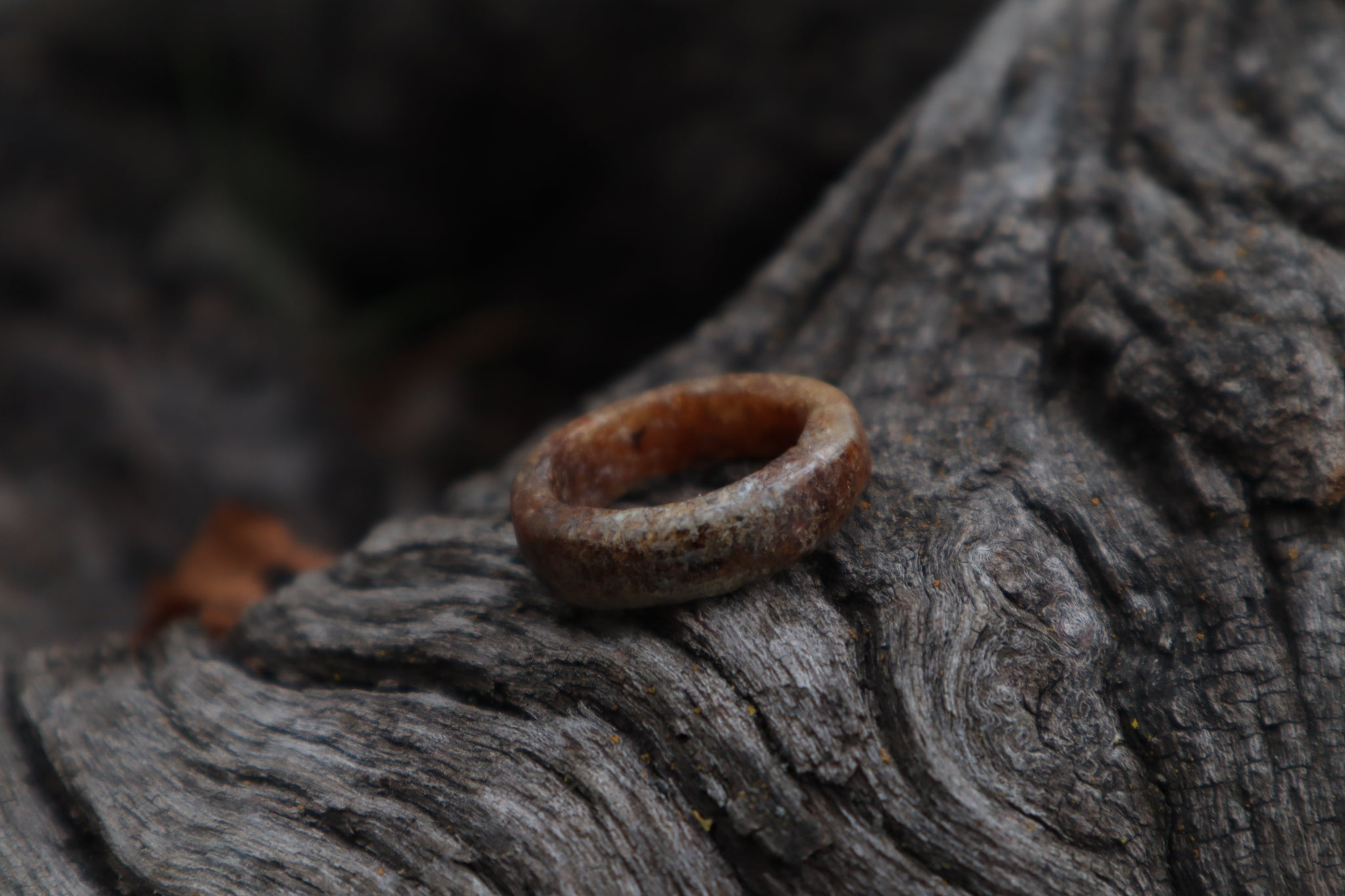 Horse Bone Ring