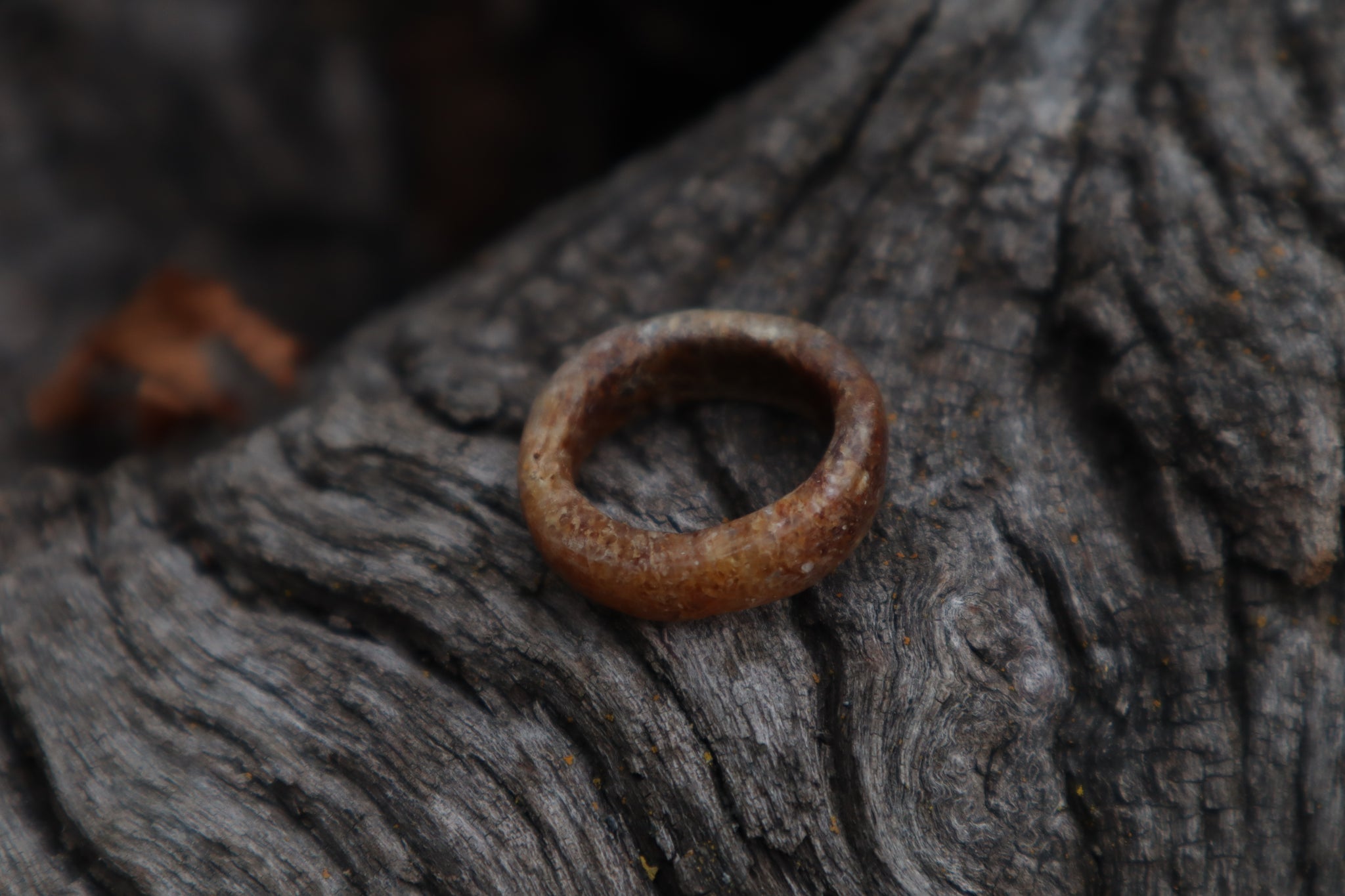 Horse Bone Ring