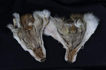 Craft Soft Tanned Coyote Face