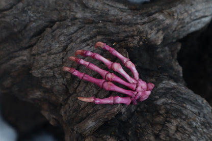 Poseable Opossum Paw Articulation - Naturally Stained