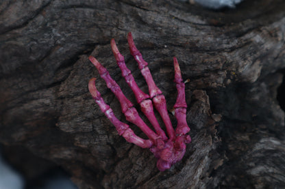 Poseable Opossum Paw Articulation - Naturally Stained