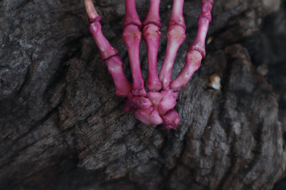 Poseable Opossum Paw Articulation - Naturally Stained