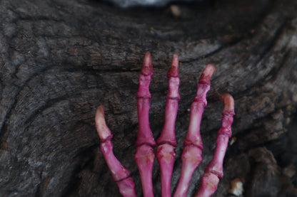 Poseable Opossum Paw Articulation - Naturally Stained