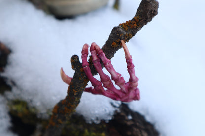 Poseable Opossum Paw Articulation - Naturally Stained