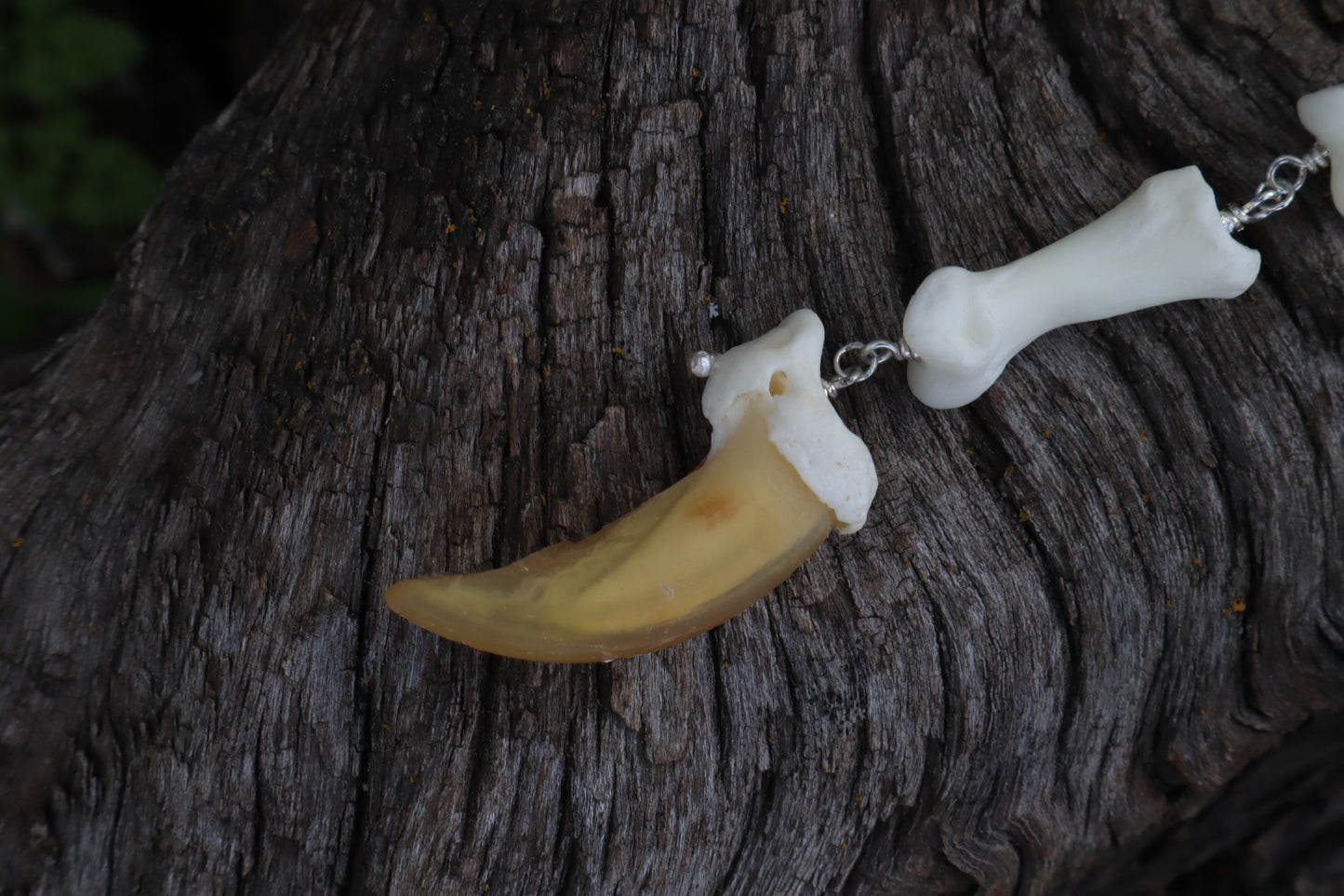 Gray Wolf Lariat Necklace