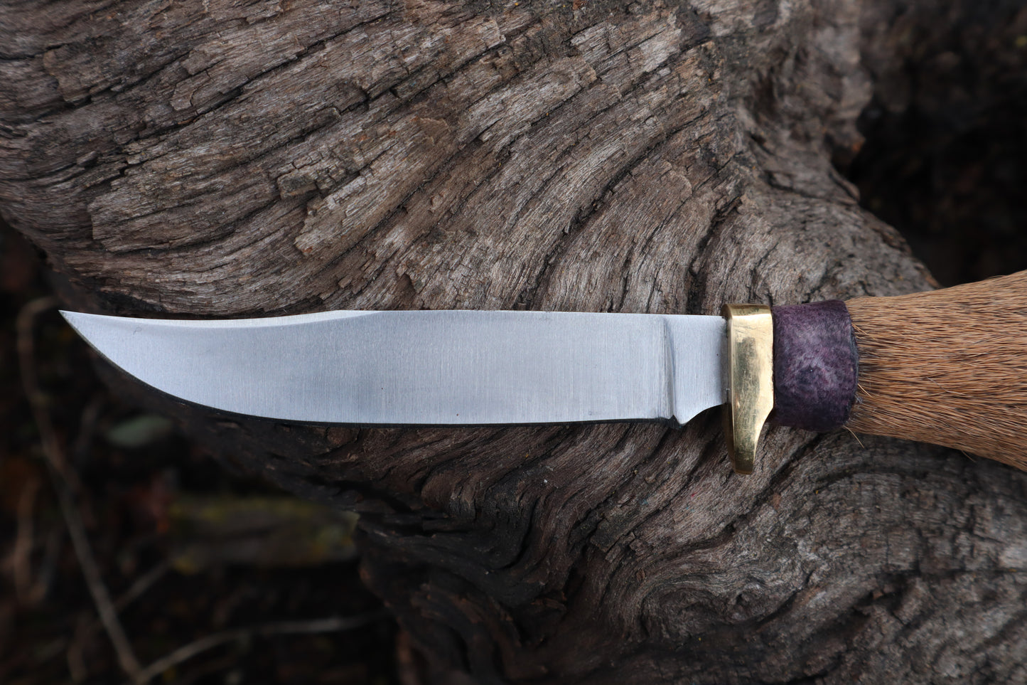 Whitetail Deer Hoof Knife with Leather Sheath