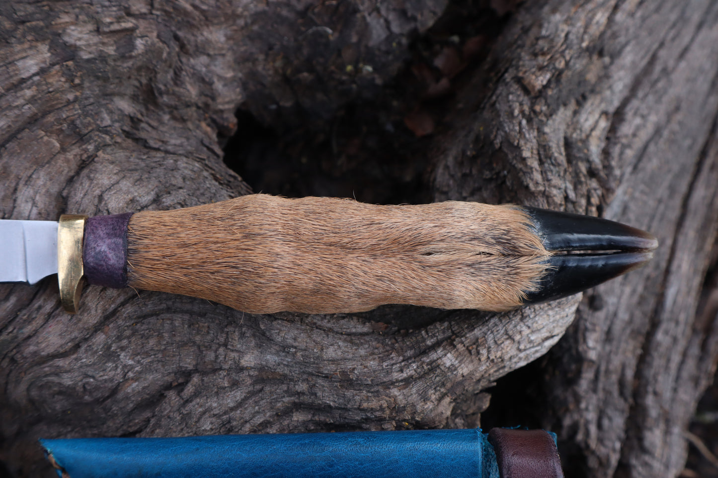 Whitetail Deer Hoof Knife with Leather Sheath