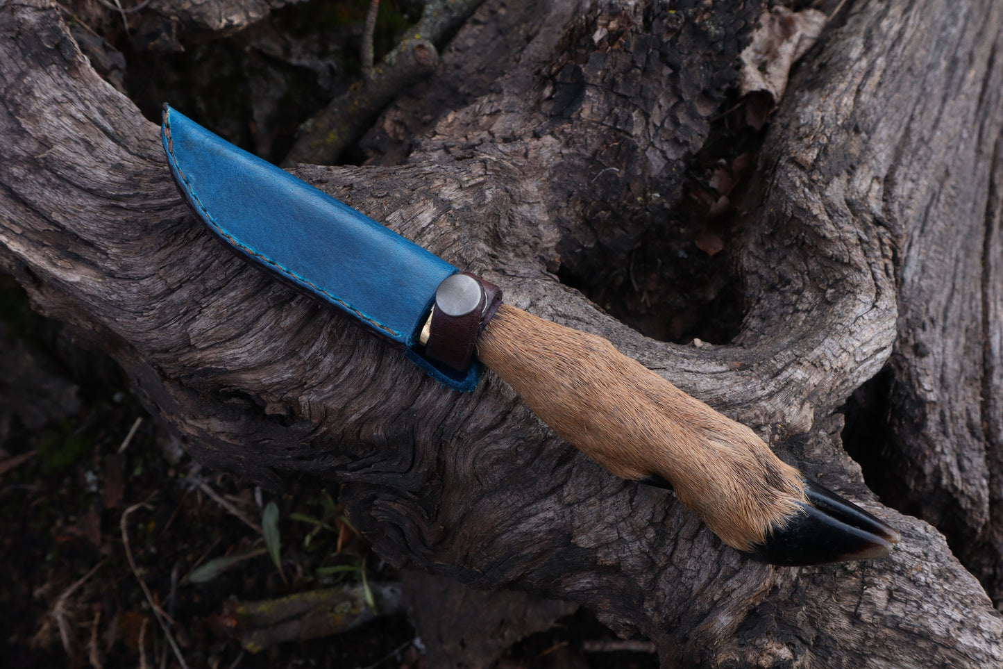 Whitetail Deer Hoof Knife with Leather Sheath