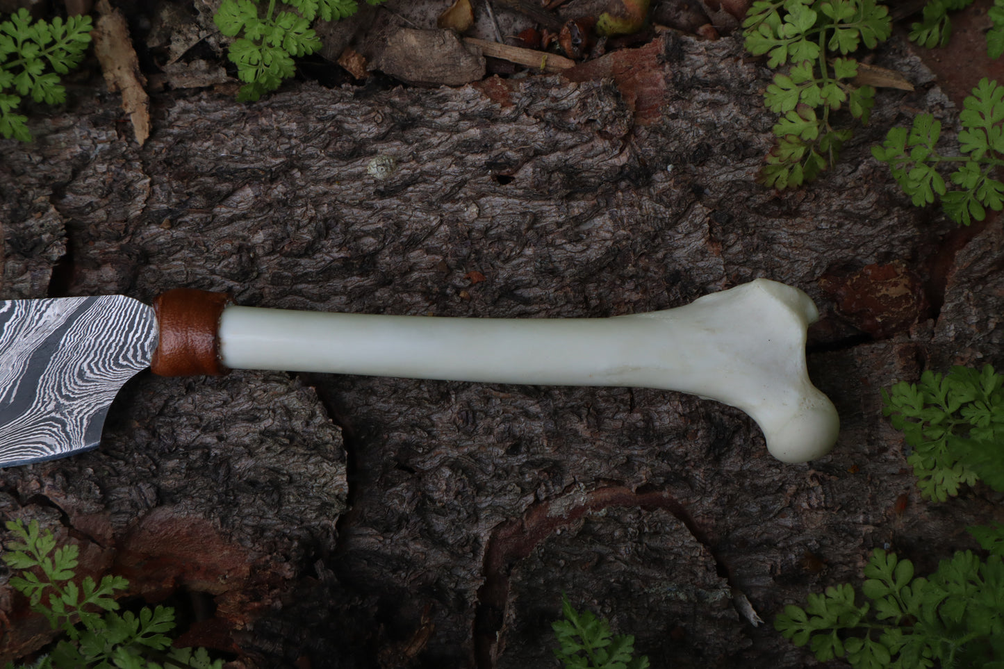 Damascus Red Fox Femur Cleaver