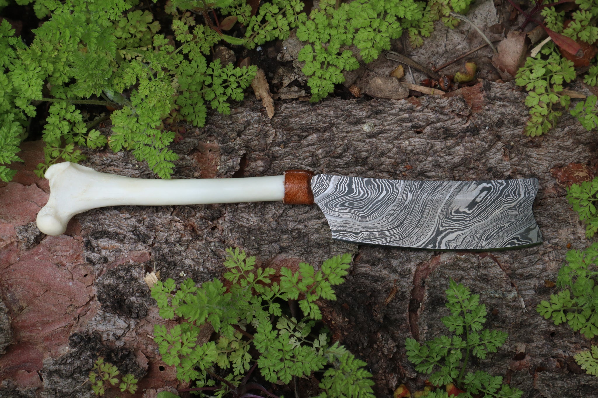 Damascus Red Fox Femur Cleaver