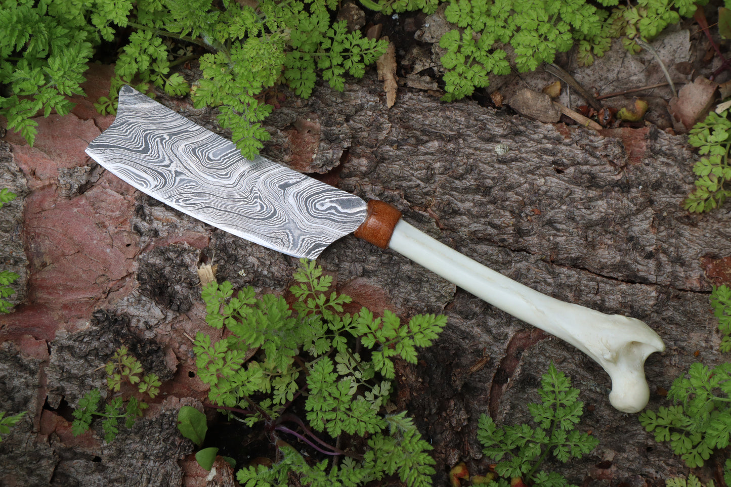 Damascus Red Fox Femur Cleaver