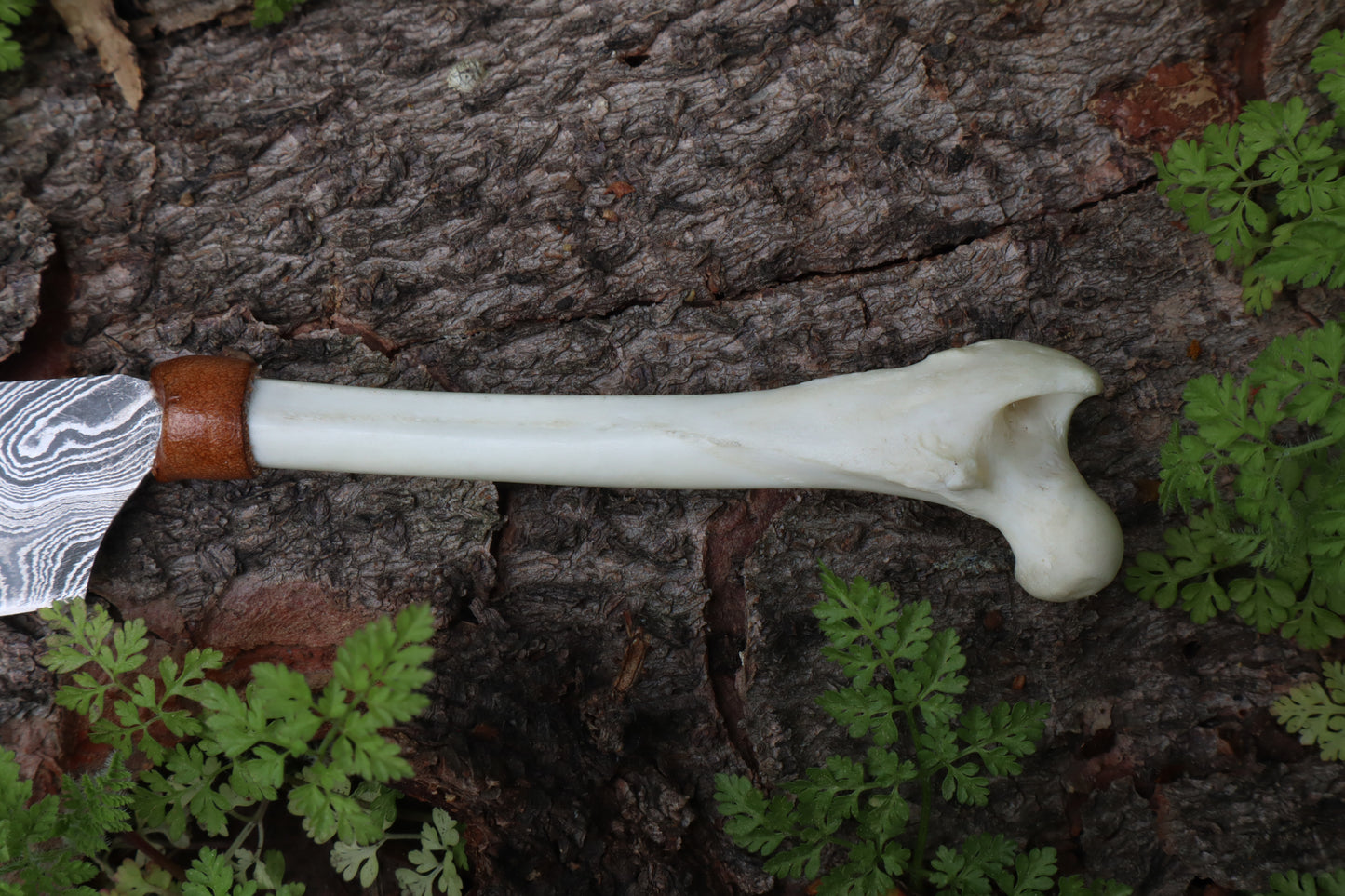 Damascus Red Fox Femur Cleaver