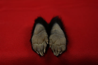 Skunk Feet