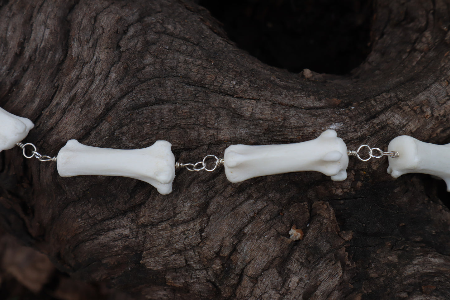 Fluid Gray Wolf Tail Articulation with Ouroboros Ring
