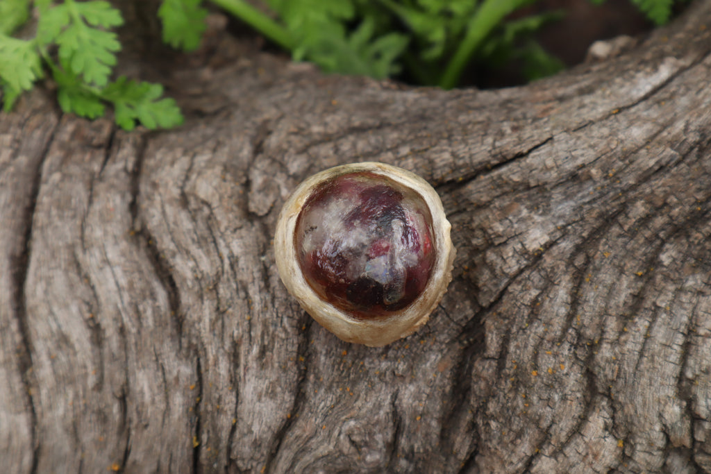 Crystal Mountain Lion Eyeball