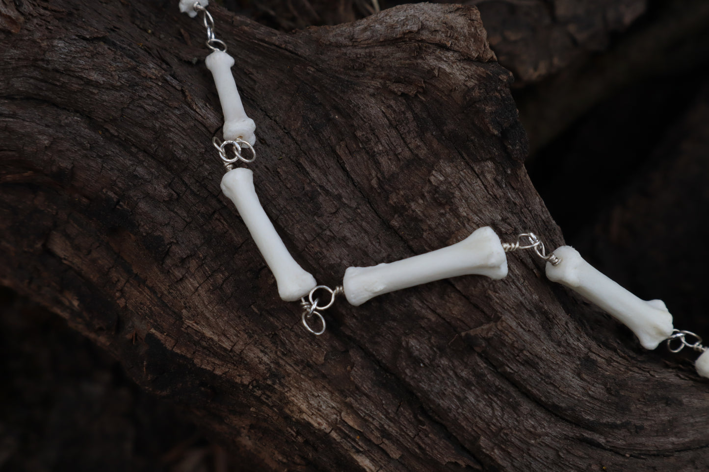 Fluid Gray Wolf Tail Articulation with Ouroboros Ring