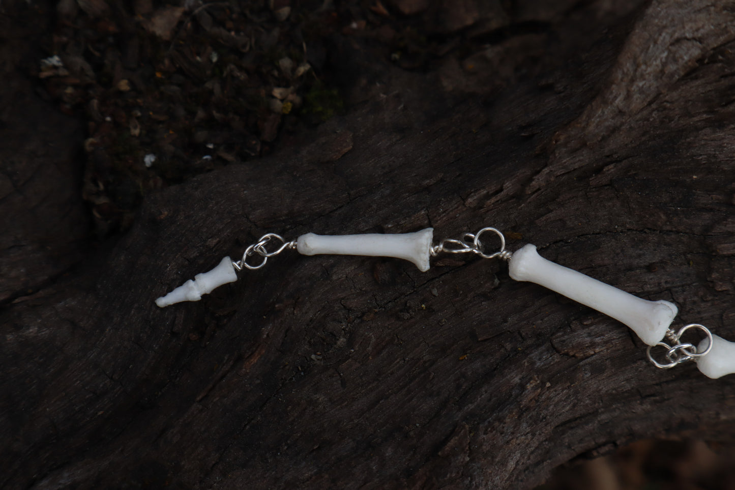 Fluid Gray Wolf Tail Articulation with Ouroboros Ring