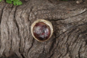 Crystal Mountain Lion Eyeball