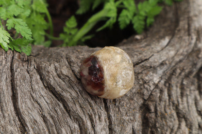 Crystal Mountain Lion Eyeball