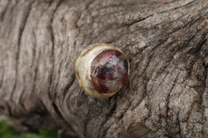 Crystal Mountain Lion Eyeball