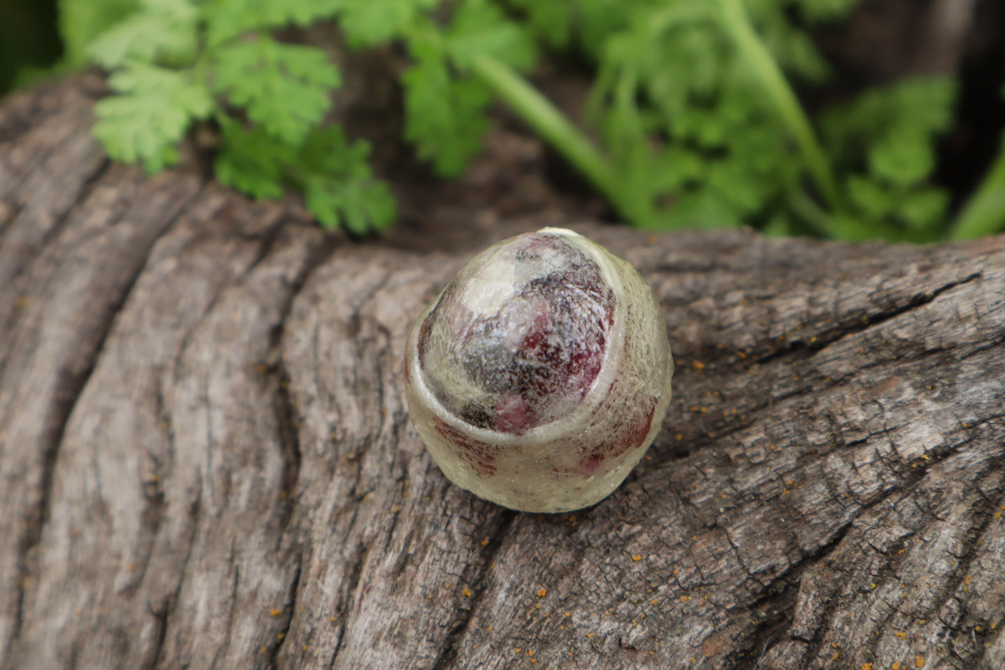 Crystal Bobcat Eyeball
