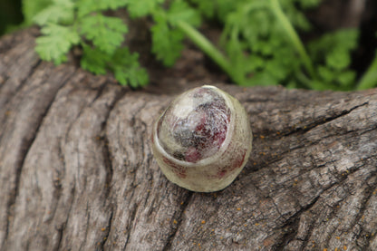 Crystal Bobcat Eyeball