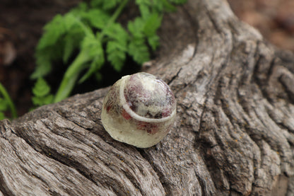 Crystal Bobcat Eyeball