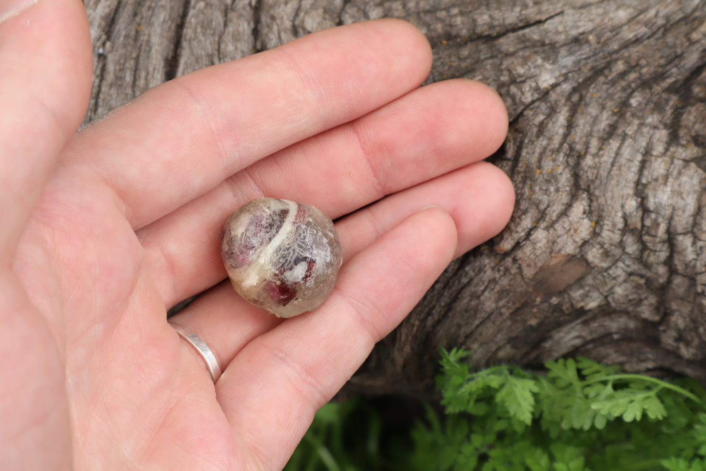Crystal Bobcat Eyeball