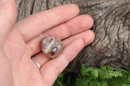 Crystal Bobcat Eyeball