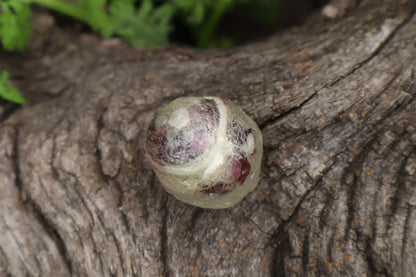 Crystal Bobcat Eyeball