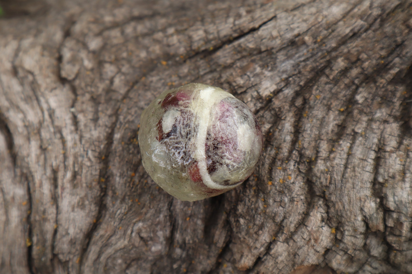 Crystal Bobcat Eyeball