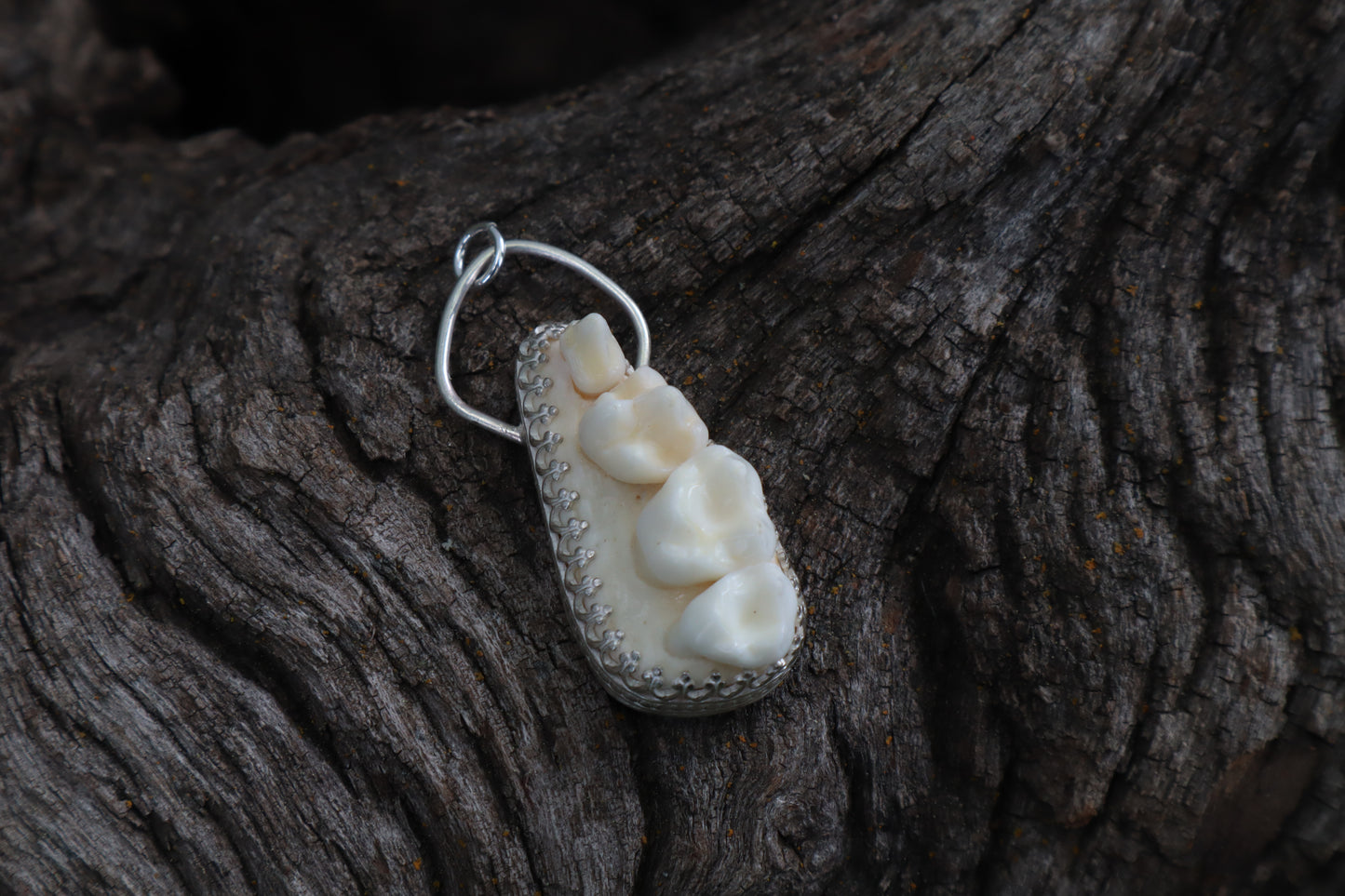 Reserved for Skye - Raccoon Skull Fragment Necklace - .925 Sterling Silver