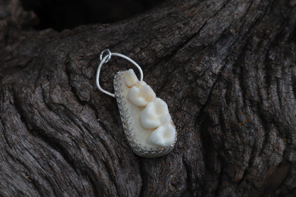 Reserved for Skye - Raccoon Skull Fragment Necklace - .925 Sterling Silver