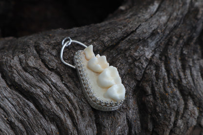 Reserved for Skye - Raccoon Skull Fragment Necklace - .925 Sterling Silver