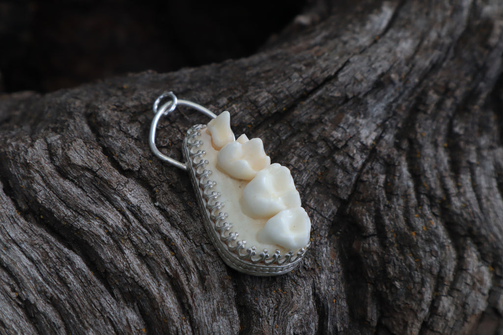 Reserved for Skye - Raccoon Skull Fragment Necklace - .925 Sterling Silver