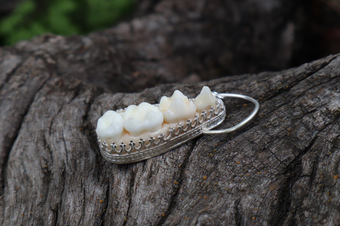 Reserved for Skye - Raccoon Skull Fragment Necklace - .925 Sterling Silver