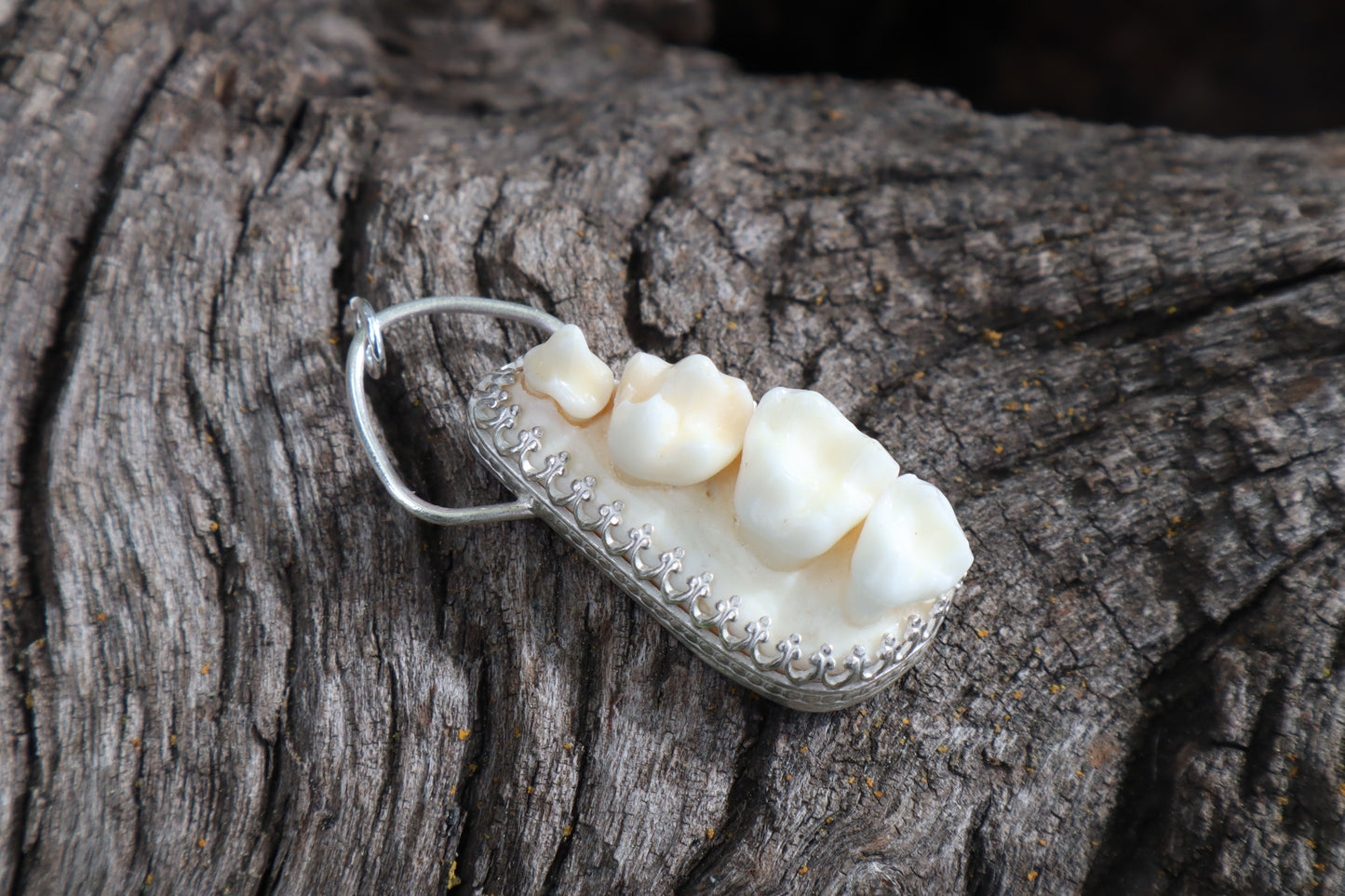 Reserved for Skye - Raccoon Skull Fragment Necklace - .925 Sterling Silver