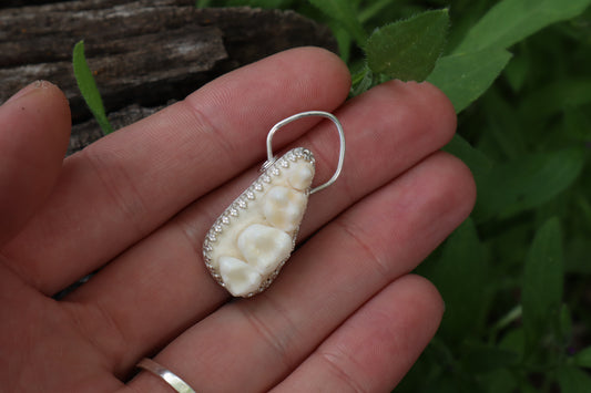 Reserved for Skye - Raccoon Skull Fragment Necklace - .925 Sterling Silver