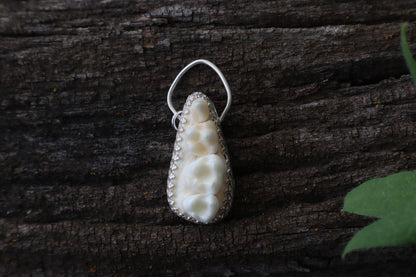 Reserved for Skye - Raccoon Skull Fragment Necklace - .925 Sterling Silver