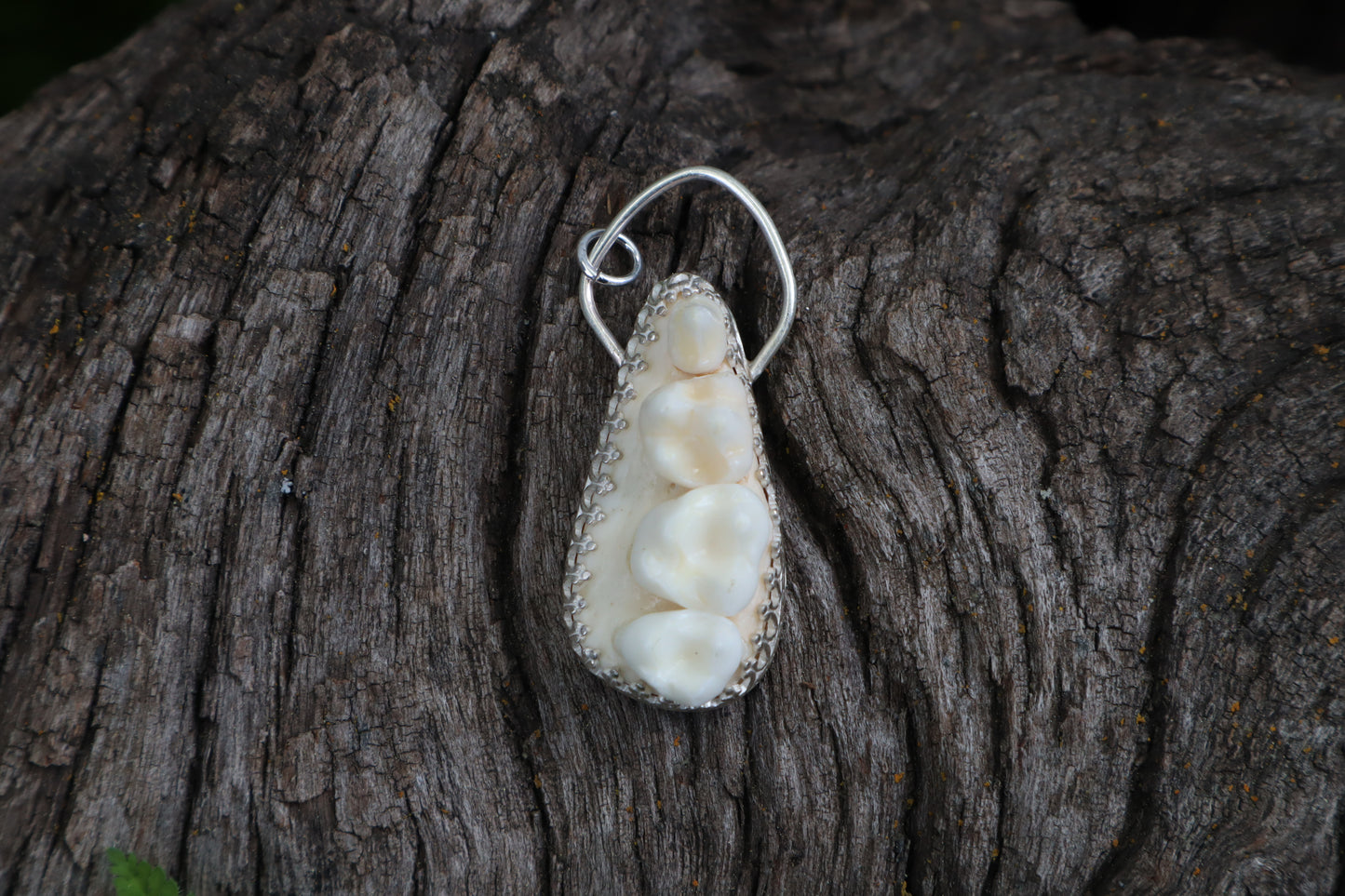 Reserved for Skye - Raccoon Skull Fragment Necklace - .925 Sterling Silver
