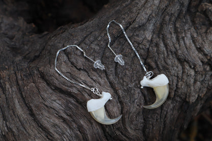 Bobcat Claw Earrings - .925 Silver